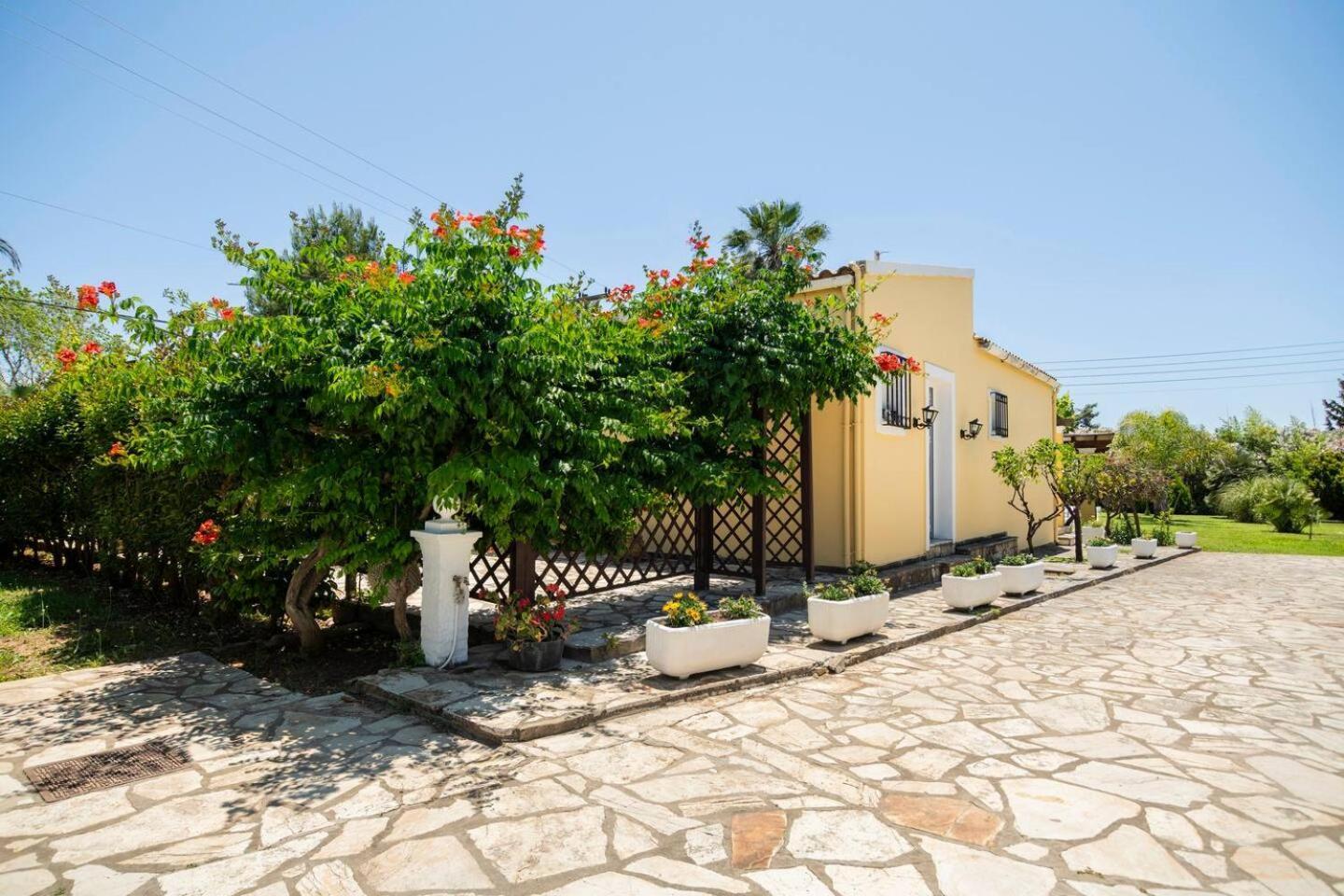 St. George Villa 아기오스 게오르기오스 외부 사진